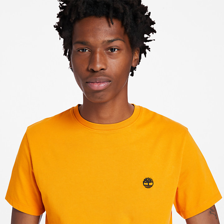 Camiseta con Cuello Redondo Dunstan River para Hombre en naranja-