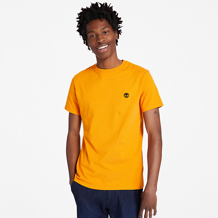 T-shirt à col rond Dunstan River pour homme en orange-