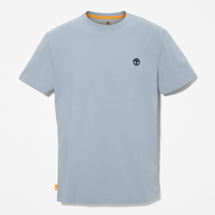 Dunstan River T-shirt voor heren in lichtblauw-