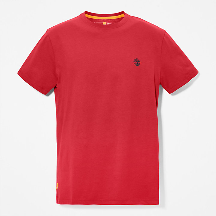 Dunstan River Crew T-Shirt for Men in Red-