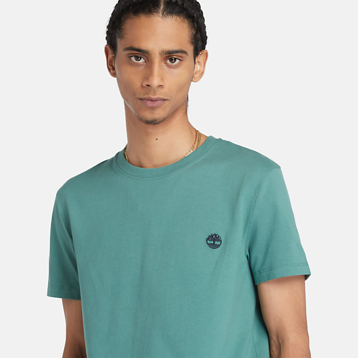Dunstan River T-shirt voor heren in groenblauw-