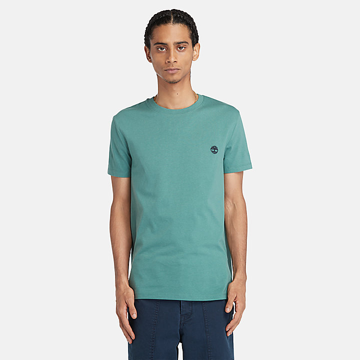 Dunstan River T-shirt voor heren in groenblauw