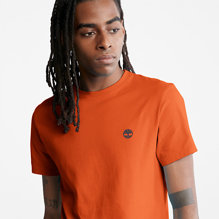 T-shirt da Uomo Dunstan River in arancione-