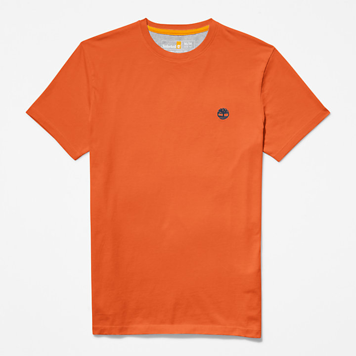 Dunstan River T-Shirt for Men in Orange-