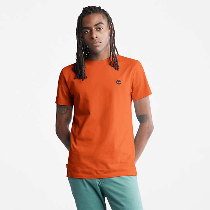 T-shirt Dunstan River pour homme en orange-