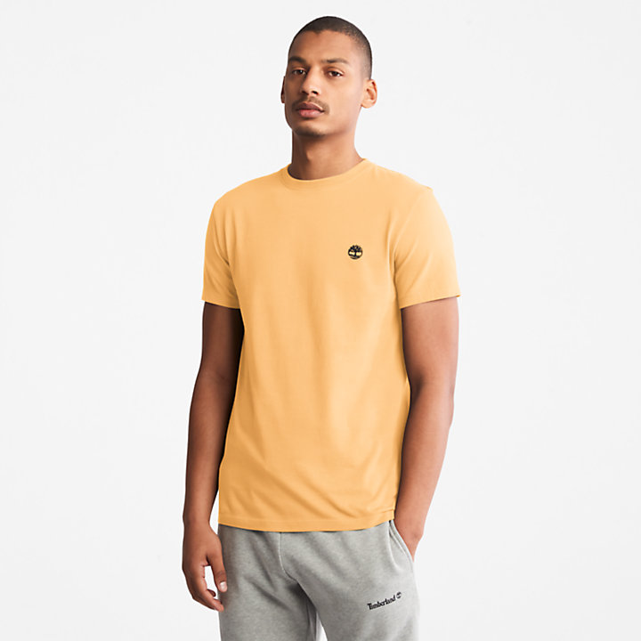T-shirt Dunstan River pour homme en jaune-