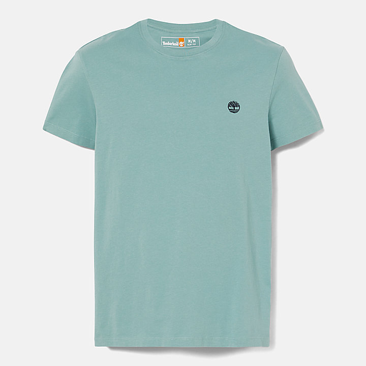 Dunstan River T-shirt met ronde hals voor heren in groenblauw