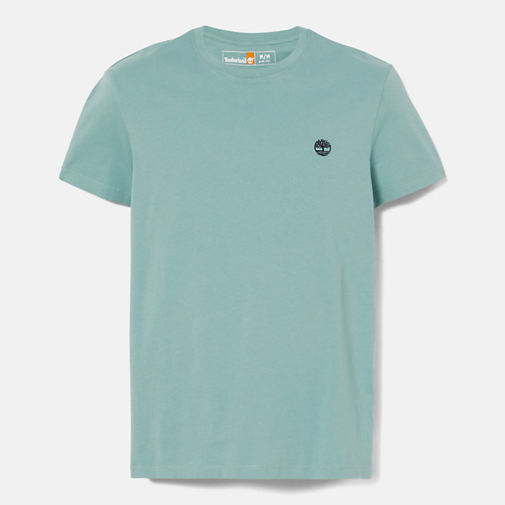 T-shirt à col rond Dunstan River pour homme en bleu sarcelle-