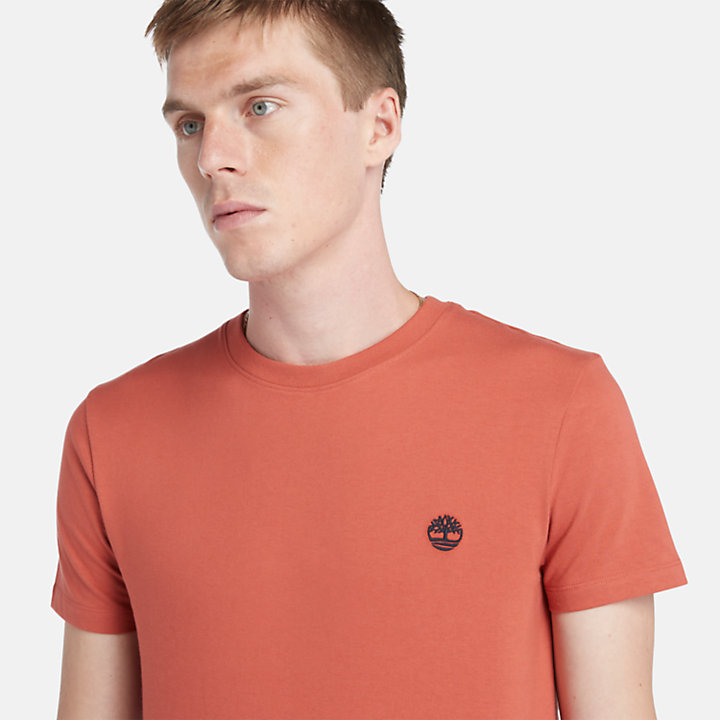 T-shirt Dunstan River da Uomo in rosso-