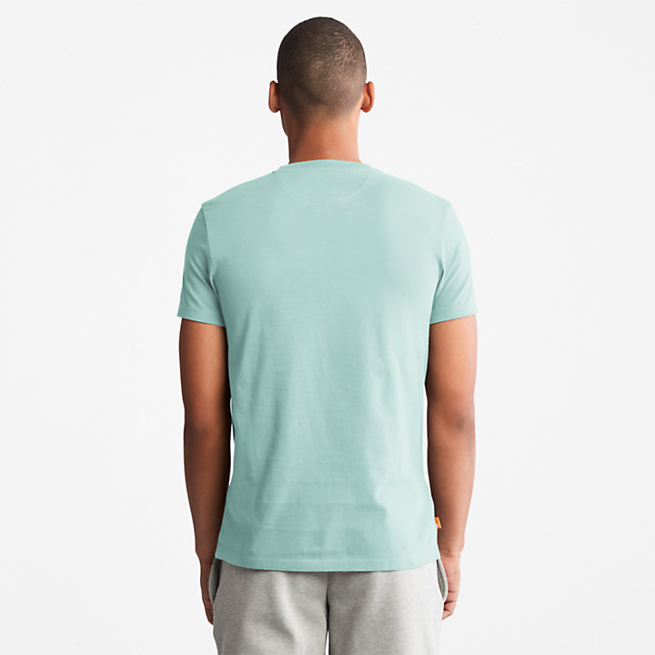 Dunstan River T-Shirt for Men in Light Green-