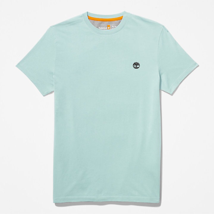 T-shirt da Uomo Dunstan River in verde chiaro-