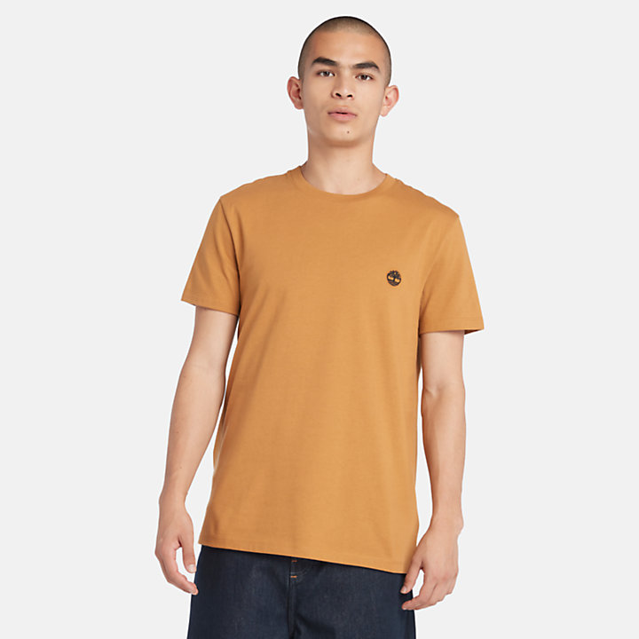 T-shirt Justa Dunstan River para Homem em laranja-