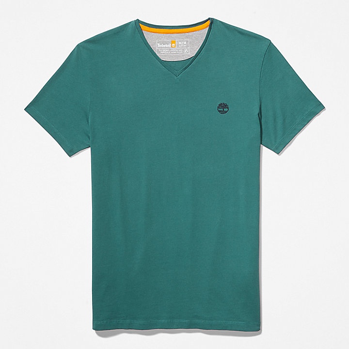T-shirt Dunstan River da Uomo in verde acqua