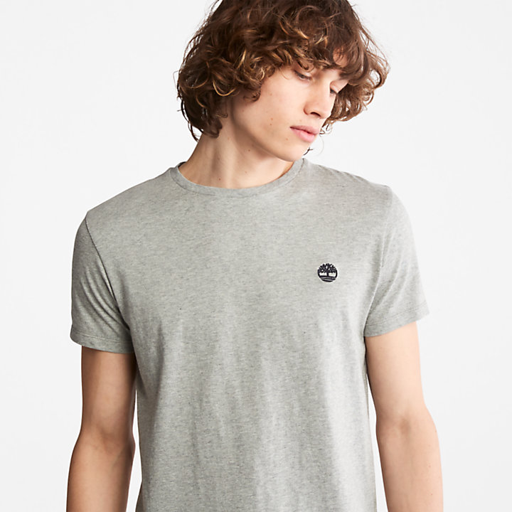T-shirt da Uomo in Cotone con Logo in grigio-