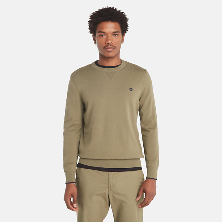 Williams River Organic Cotton Sweater for Men in Green-