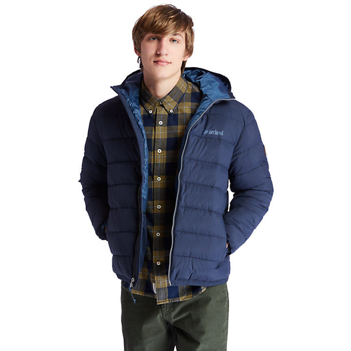 Garfield Quilted Hooded Jacket for Men in Navy-