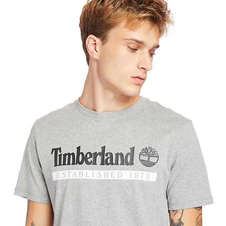 Established 1973 T-Shirt for Men in Grey-