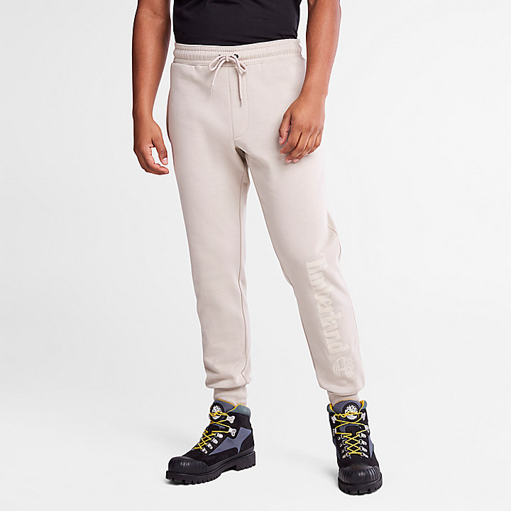 Pantaloni della Tuta con Logo da Uomo in grigio