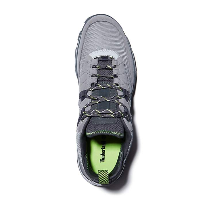 Treeline Low Sneaker for Men in Grey-