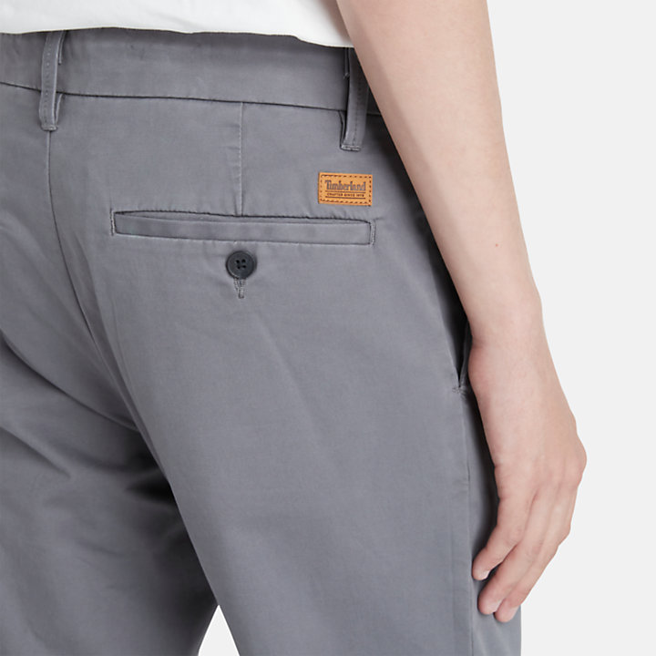 Pantalones chinos elásticos Sargent Lake para hombre en gris-