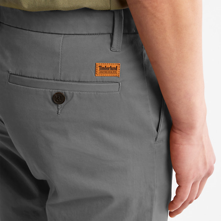 Pantaloni Chino da Uomo Sargent Lake in grigio-