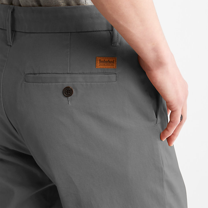Pantaloni Chino Elasticizzati Squam Lake da Uomo in grigio-