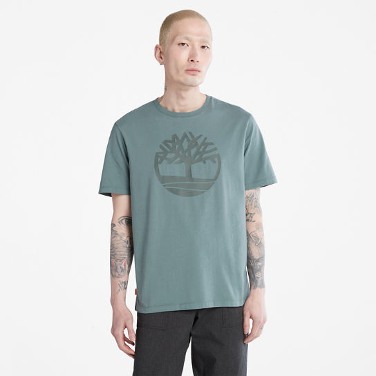 T-shirt con Logo ad Albero Kennebec River da Uomo in verde acqua | Timberland