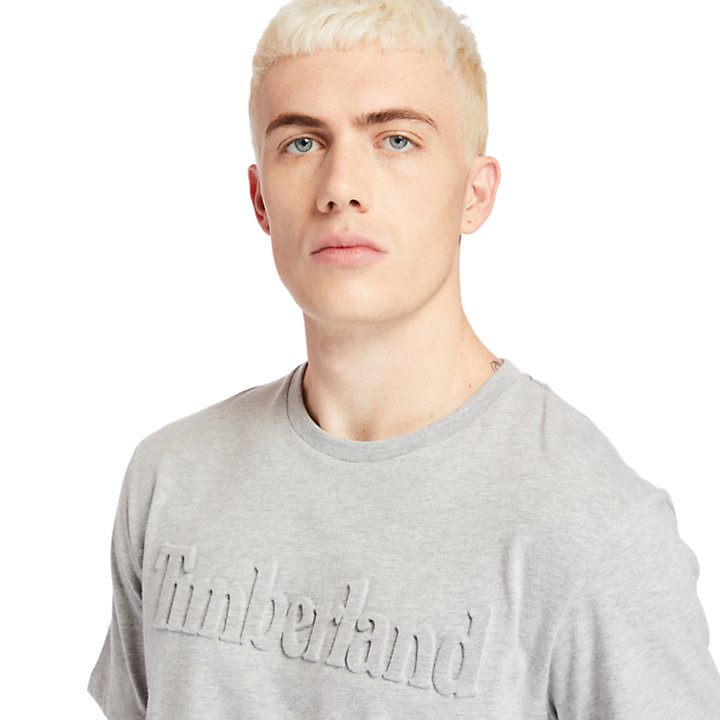 T-shirt da Uomo con Logo in Rilievo Mink Brook in grigio-