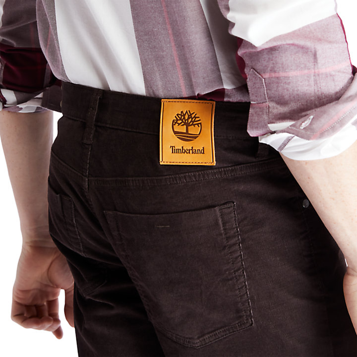 Pantalon stretch en velours côtelé Squam Lake pour homme en marron-