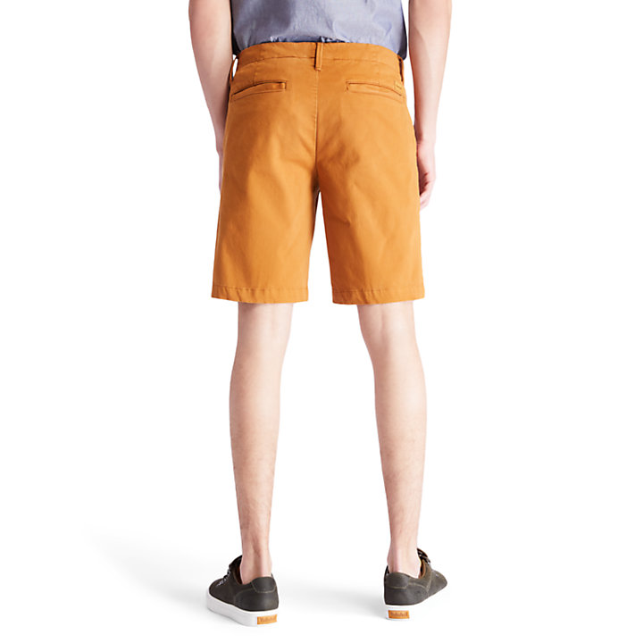 Squam Lake Chino Shorts for Men in Yellow-