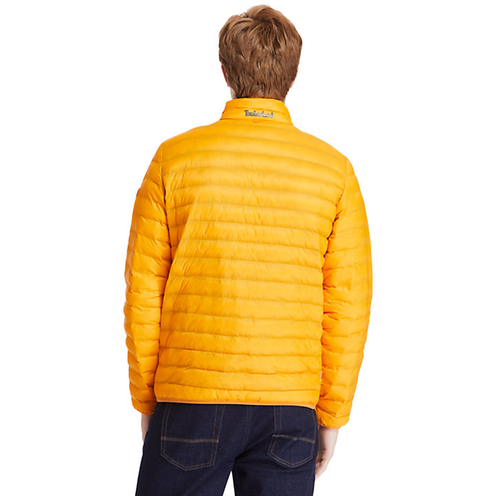 Axis Peak verstaubare Jacke für Herren in Gelb-