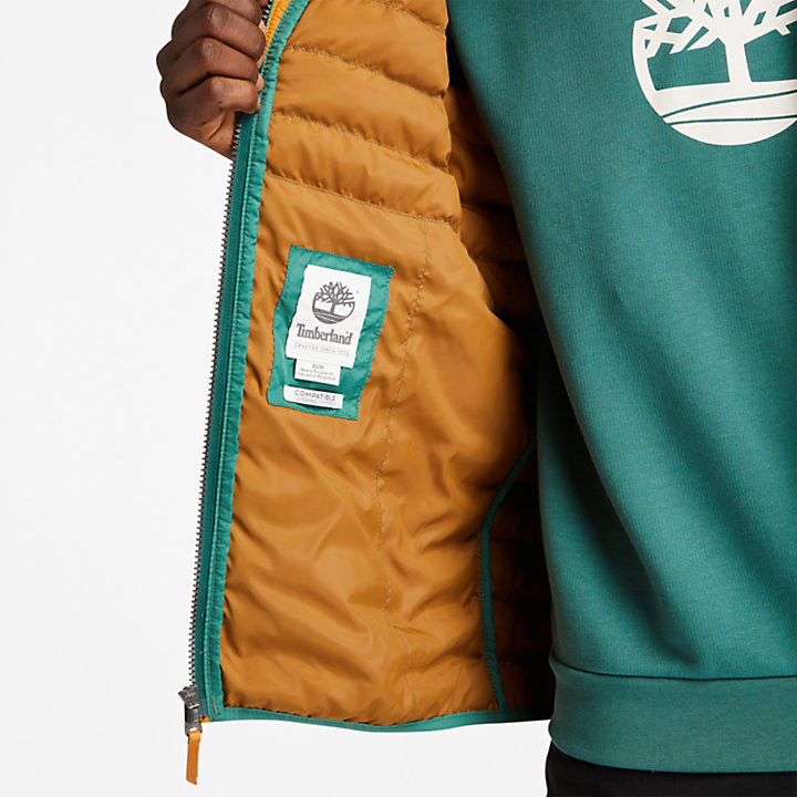 Men's Axis Peak Waterproof Jacket in Green-