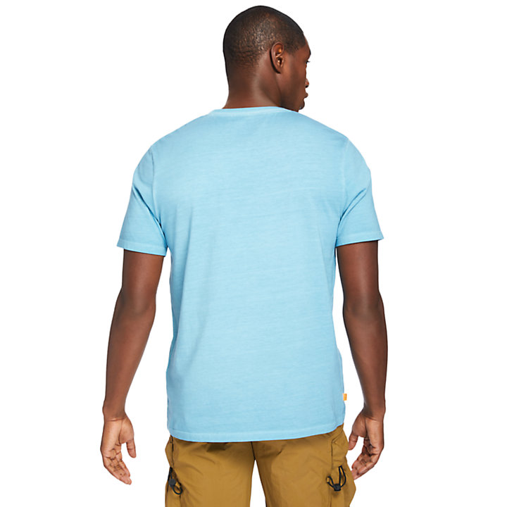 Lamprey River T-shirt for Men in Teal-