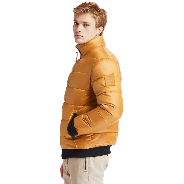 Men's Mount Whiteface Reversible Faux Shearling Jacket in Yellow-