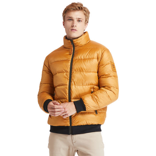 Men's Mount Whiteface Reversible Faux Shearling Jacket in Yellow | Timberland