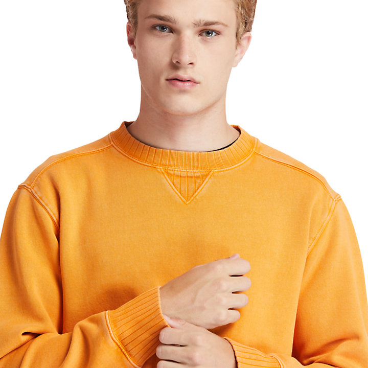 Lamprey River Crew Neck Sweatshirt for Men in Orange-