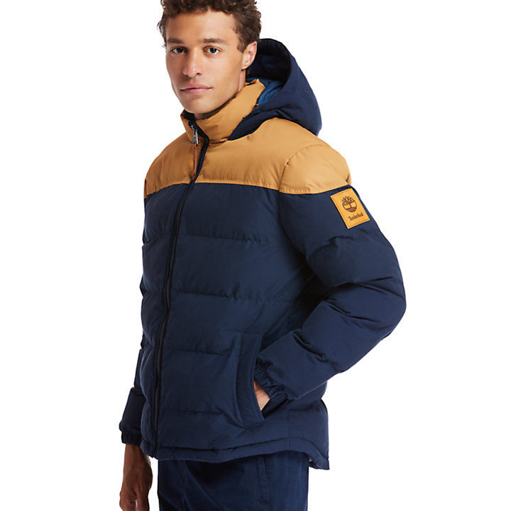 Welch Mountain Warm Puffer Jacket for Men in Yellow/Blue-