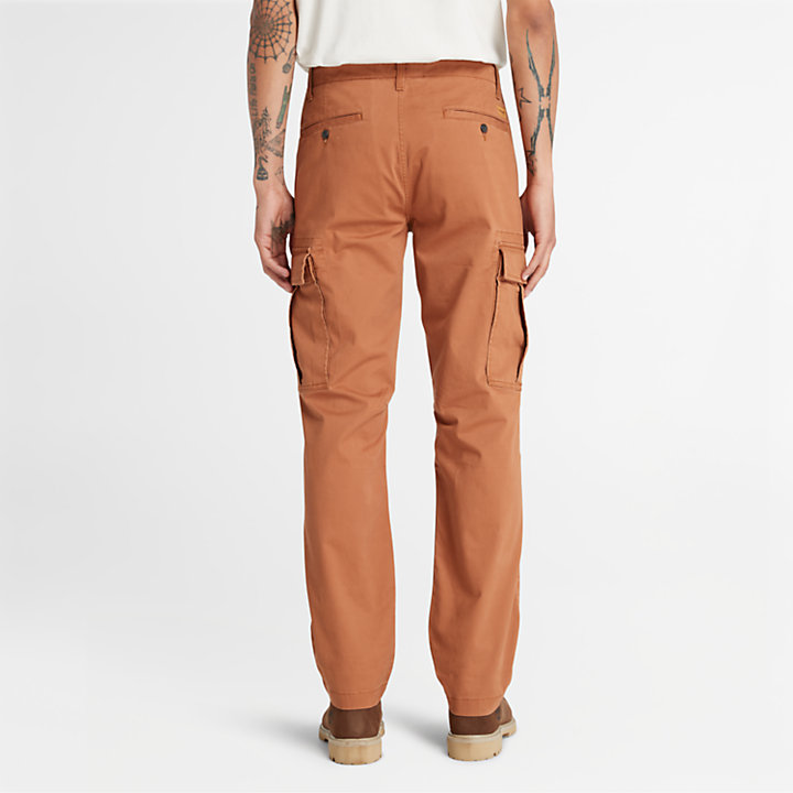 Pantaloni Cargo Core da Uomo in marrone-