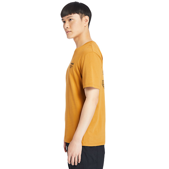 Herren-T-Shirt mit Logo auf dem Rücken in Orange-