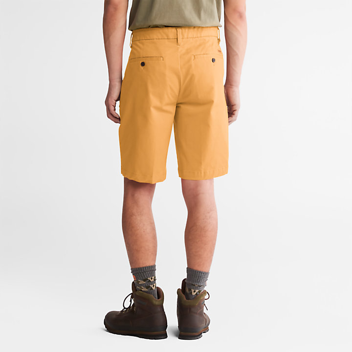 Shorts Chino da Uomo Elasticizzati Squam Lake in arancione-