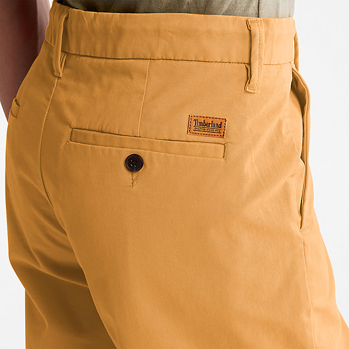 Squam Lake Stretch Chino Shorts for Men in Orange