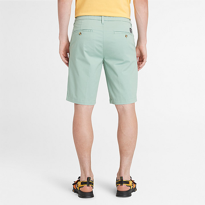 Stretch Twill Chino Shorts for Men in Pale Green