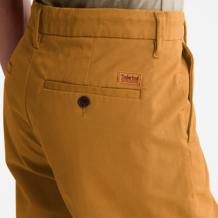 Squam Lake Stretch Chino Shorts for Men in Dark Yellow-