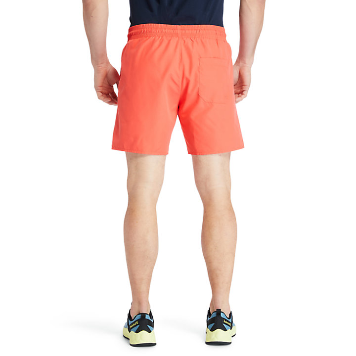 Sunapee Lake Solid-colour Swim Shorts for Men in Red-