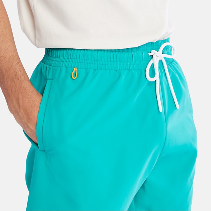 Sunapee Lake Solid Swim Shorts for Men in Teal-