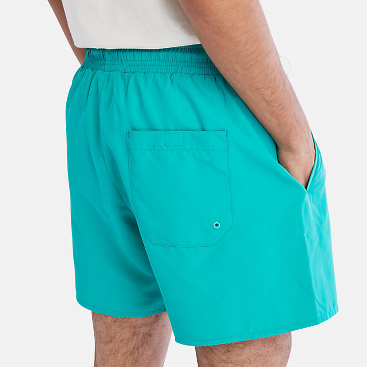 Sunapee Lake Solid Swim Shorts for Men in Teal-