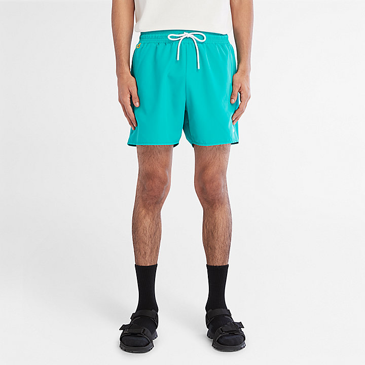 Sunapee Lake Solid Swim Shorts for Men in Teal