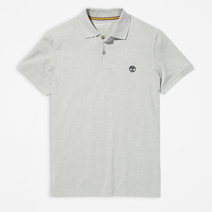 Merrymeeting River Polo Shirt for Men in Grey-