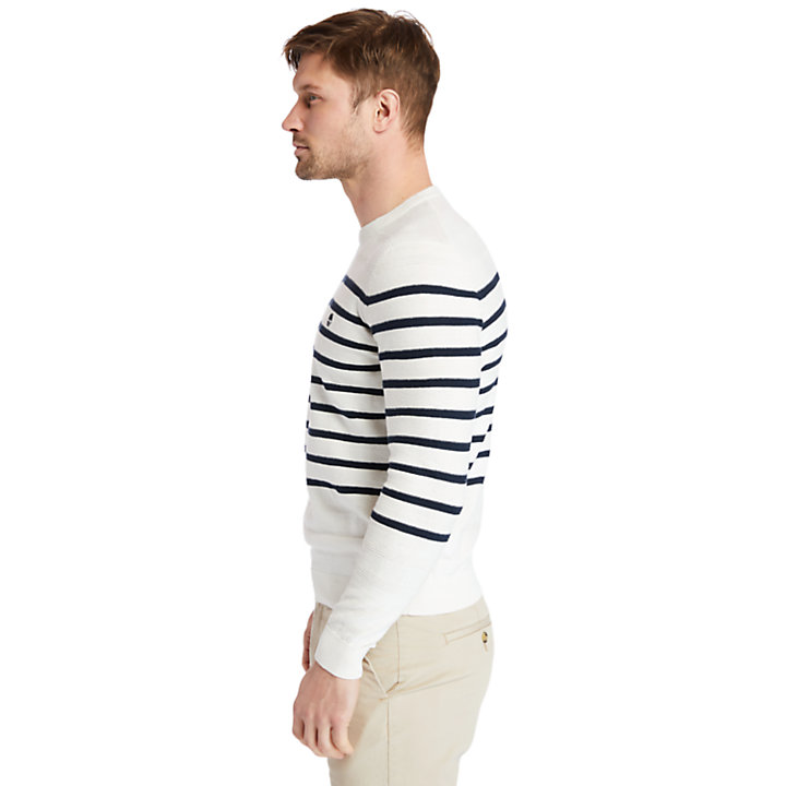Striped Crewneck Sweater for Men in White-