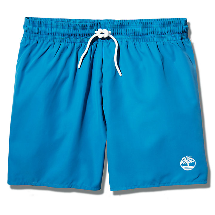 Solid-Colour Swim Shorts for Men in Teal-